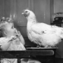 P-B6-W56-04-Girl-and-chicken